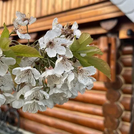 Neu! Seeblick Appartement