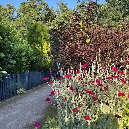 Appartement Neu! Seeblick