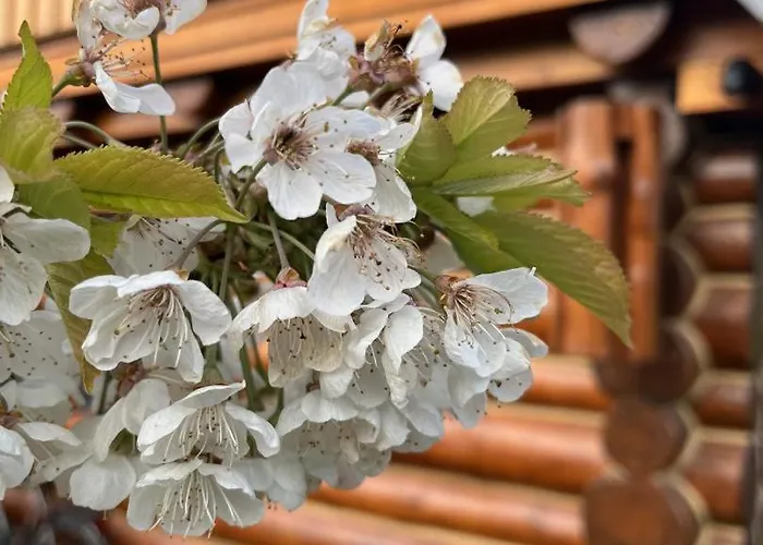 Neu! Seeblick Lägenhet